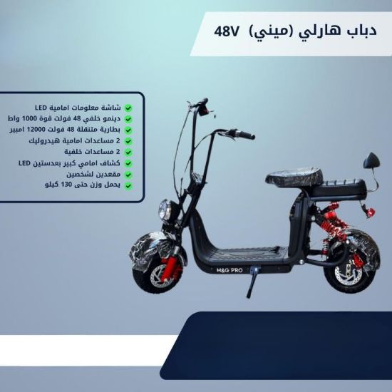 صورة سكوتر وقوف هارلي 48V